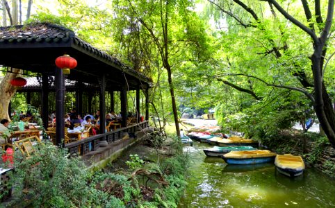 Teahouse in Peoples Park - Chengdu, China - DSC05353