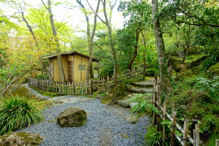 Teahouse - Hakuun-do Chaen Tearooms - Gora Park - Hakone, Kanagawa, Japan DSC08526