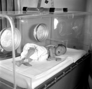 Te vroeg geboren baby Martin slapend in de couveuse, vermoedelijk in het Sint An, Bestanddeelnr 254-2533