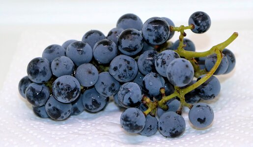 Fruit eat food