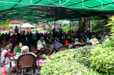 Teahouse in Baihuatan Park - Chengdu, China - DSC03843