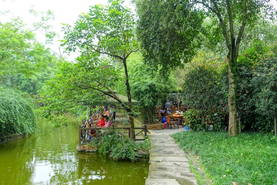 Teahouse - Chengdu Culture Park - Chengdu, China - DSC03980
