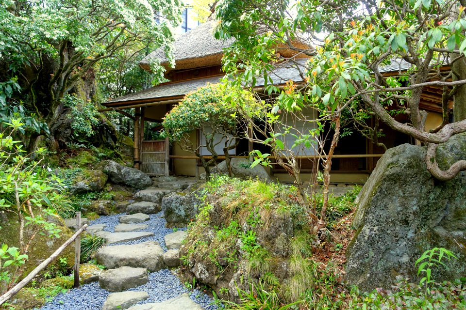 Teahouse - Hakuun-do Chaen Tearooms - Gora Park - Hakone, Kanagawa, Japan DSC08500