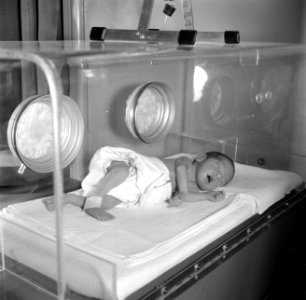 Te vroeg geboren baby Martin slapend in de couveuse, vermoedelijk in het Sint An, Bestanddeelnr 254-2534