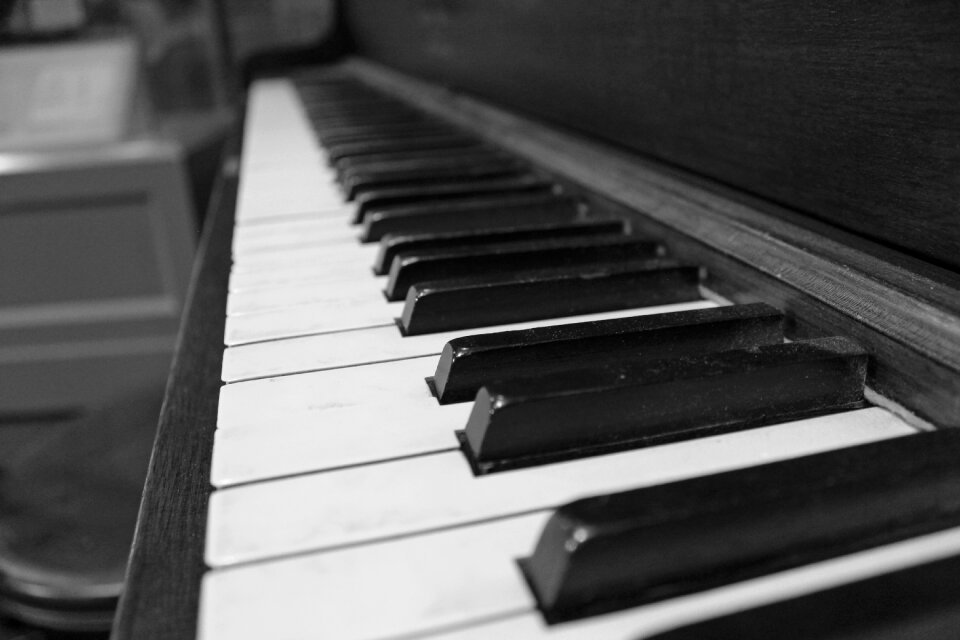 Music instrument ivory