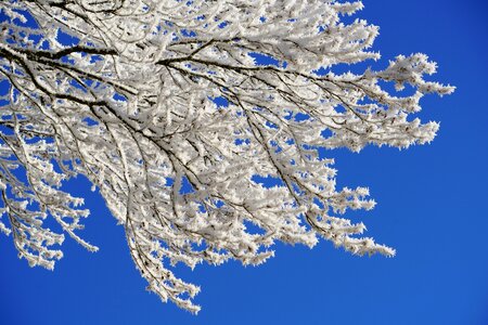 Iced snow cold