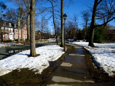 TCNJ campus view in February