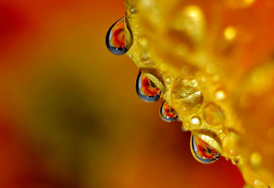 India refraction yellow