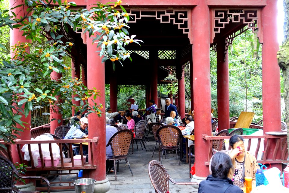 Teahouse in Baihuatan Park - Chengdu, China - DSC03846