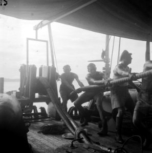 Telefoonkabels leggen op zee Bemanningsleden van een schip bezig met kabels, Bestanddeelnr 8036