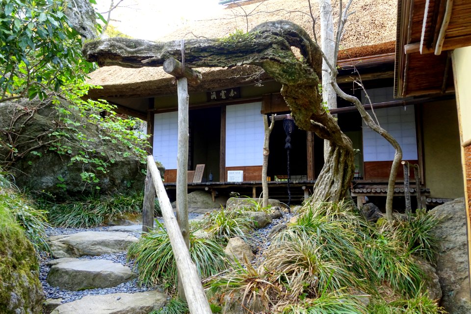 Teahouse - Hakuun-do Chaen Tearooms - Gora Park - Hakone, Kanagawa, Japan DSC08494