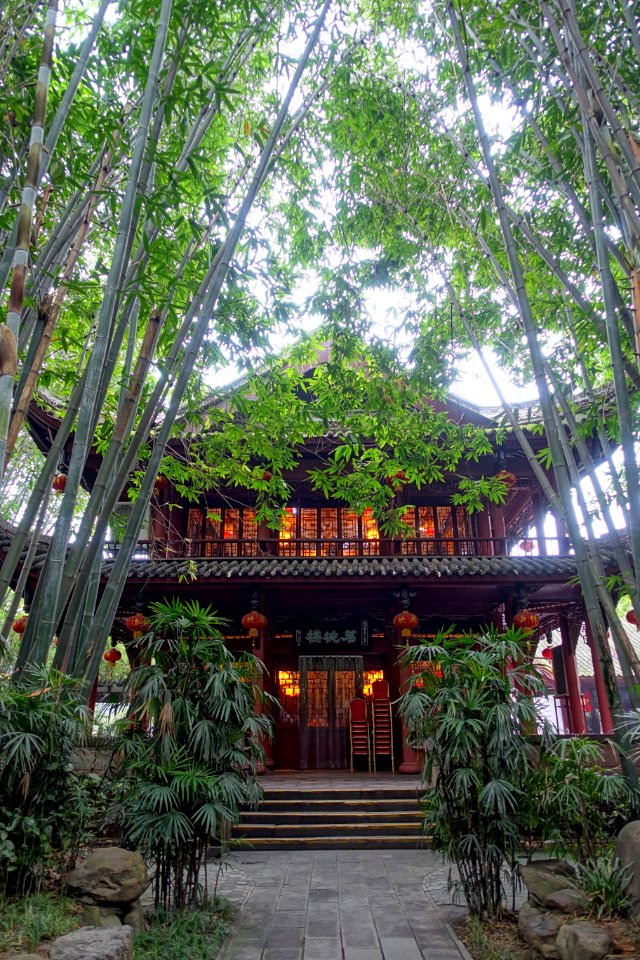 Teahouse - Wangjianglou Park - Chengdu, China - DSC05760