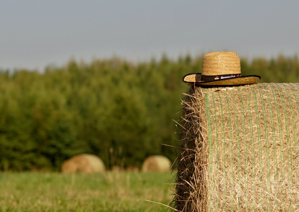 Bale of straw field hat