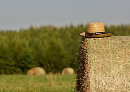 Bale of straw field hat