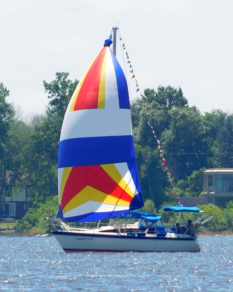 Tanzer 29 sailboat Caprice 2000 with spinnaker 1339
