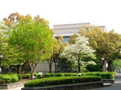TCUE-Library03