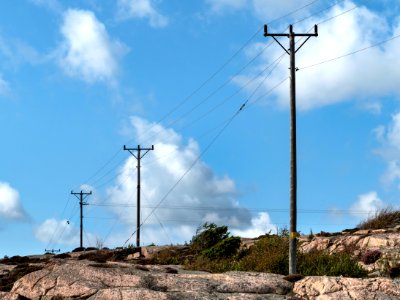 Telephone poles in south Kolleröd 2 photo