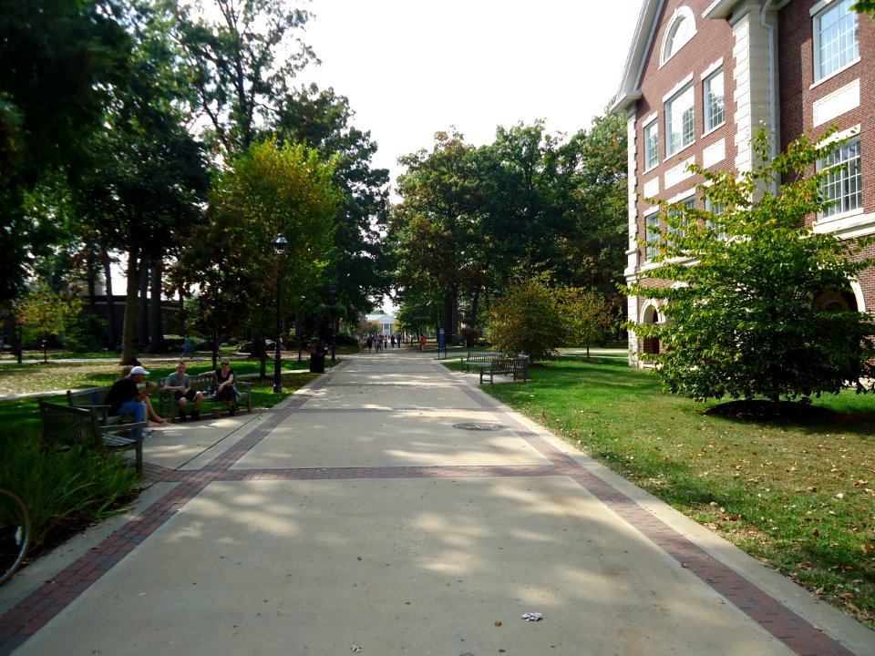 TCNJ The College of New Jersey pathway and buildings