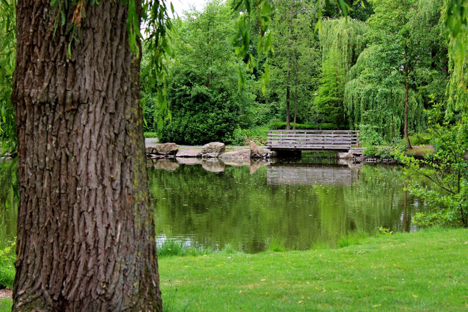 Teich Losbergpark Stadtlohn