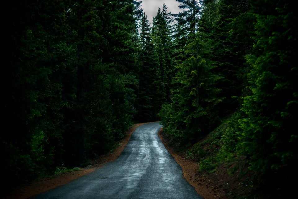 Landscape outdoors road