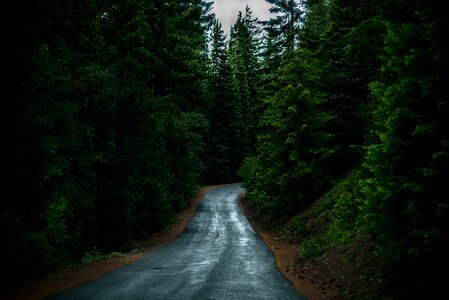 Landscape outdoors road