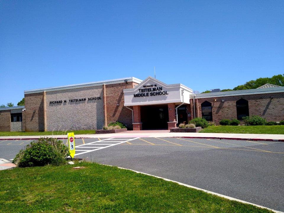 Teitelman MS Lower Lwp