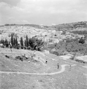 Tegen heuvels aangebouwde huizen en gebouwen van Nazareth, op de voorgrond een g, Bestanddeelnr 255-3224