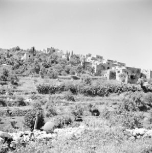 Tegen de heuvel gebouwde woningen van Abu Ghosh, een dorp aan de weg van Tel Avi, Bestanddeelnr 255-0874