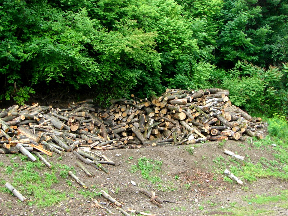Teghut Mine deforestation