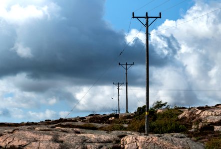 Telephone poles in south Kolleröd 1 photo