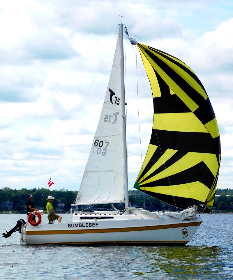 Tanzer 7.5 sailboat Bumblebee 4816