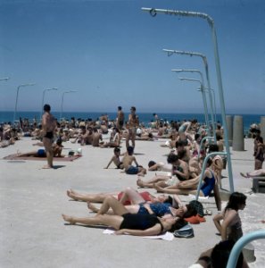Tel Aviv Zonnebaders op de boulevard op de sabbat, Bestanddeelnr 255-9300