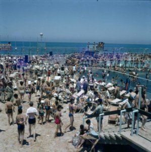 Tel Aviv Zonnebaders en bezoekers aan het openluchtzwembad op de boulevard, Bestanddeelnr 255-9301