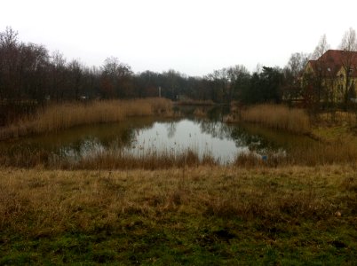 Teich westlich Gimritzer Damm in Halle - Panzerteich 01