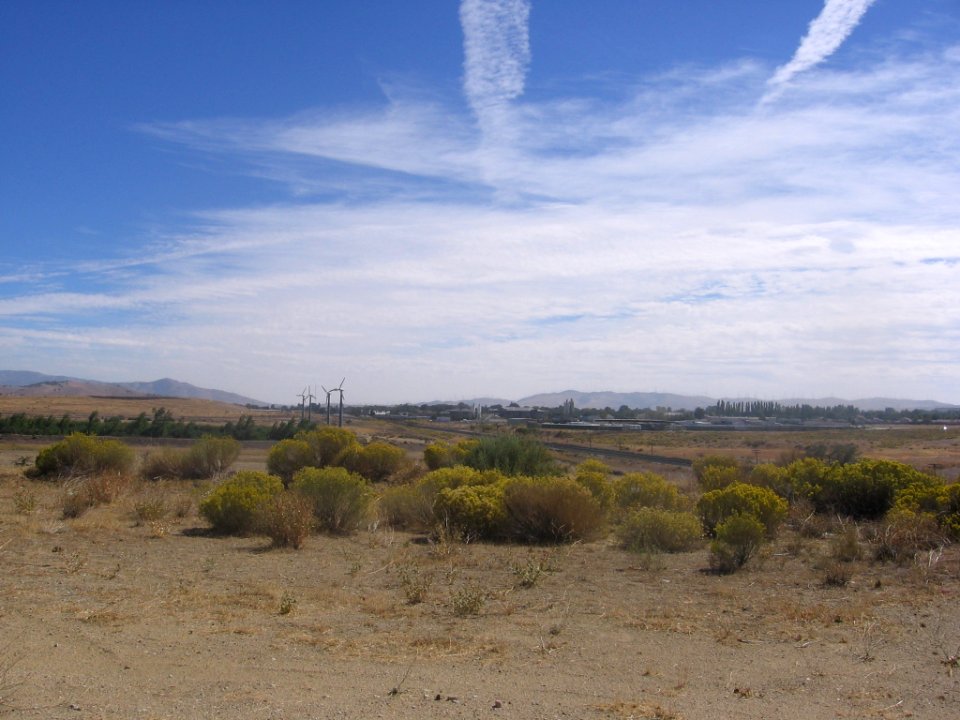 Tehechapi wind turbines 2099