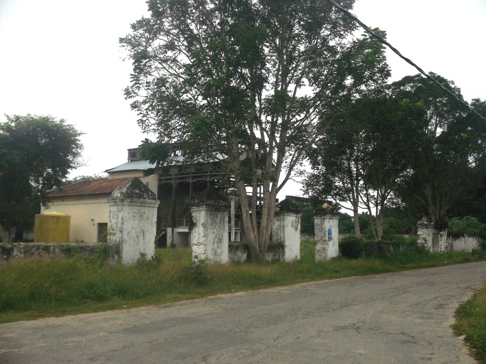 Tebec (Umán), Yucatán (04)