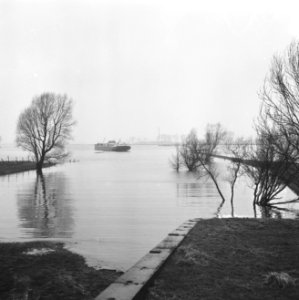 Tanker Patria uit Hamburg in weiland te Sint Andries, Bestanddeelnr 918-7256