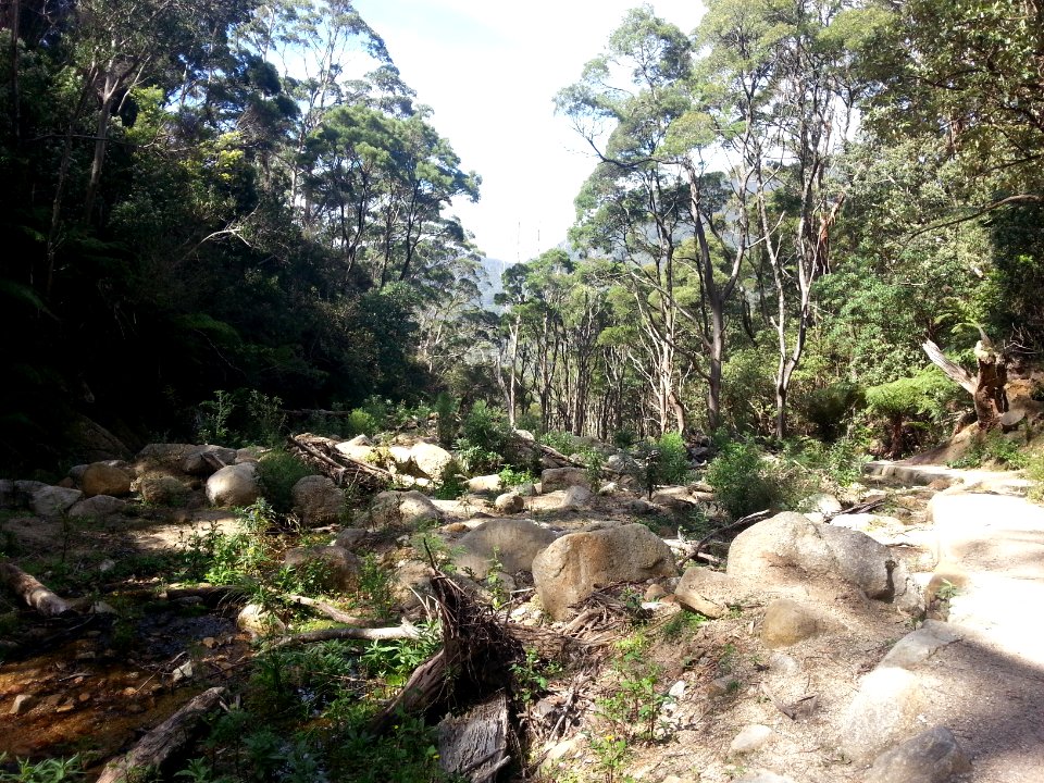 Telegraph Saddle to Sealers Cove Track, Wilsons Promontory National Park 06