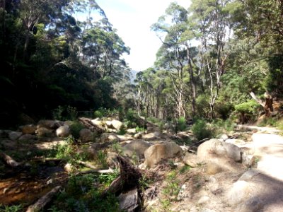 Telegraph Saddle to Sealers Cove Track, Wilsons Promontory National Park 06