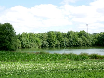 Teich bei Leverdingen