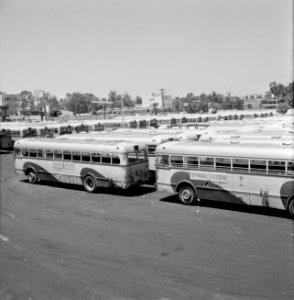 Tel Aviv op sabbat autobussen op het parkeerterrein van de remise, Bestanddeelnr 255-1899