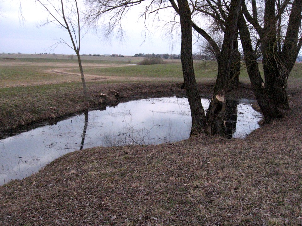 Teich neben Ernsbach nahe der L 1060