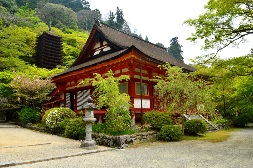 Tanzan-jinja, shinbyo-haisho and tou