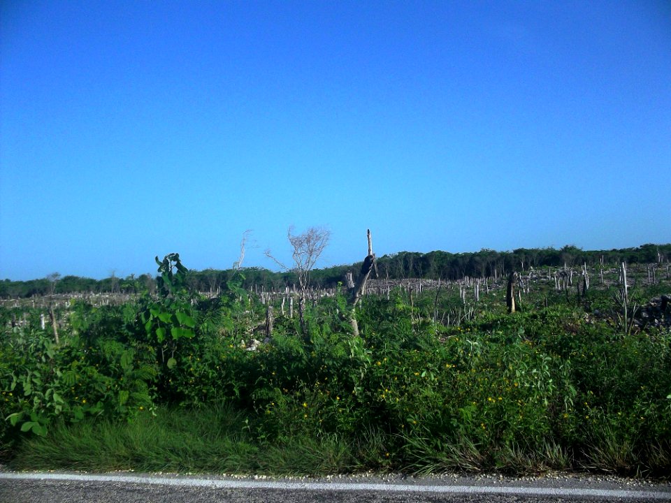 Tekantó, Yucatán (09)