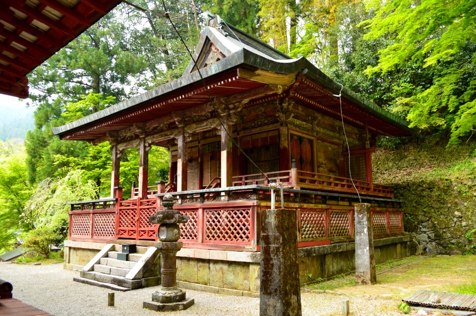 Tanzan-jinja, Soja, honden