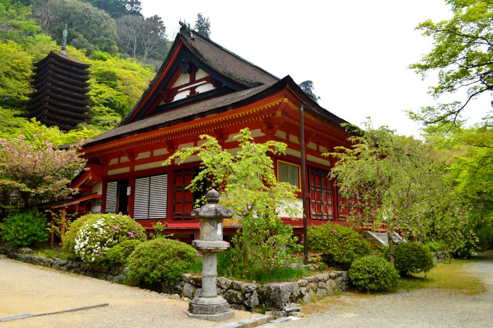 Tanzan-jinja, shinbyo-haisho