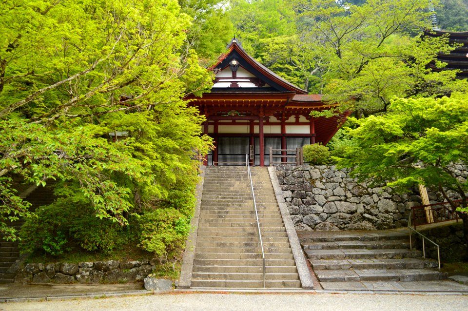 Tanzan-jinja, gonden-1