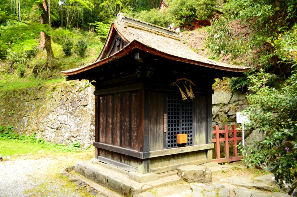 Tanzan-jinja, akaiya