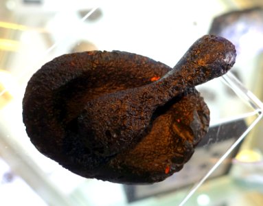 Tektites, Indochinite - Center for Meteorite Studies - Arizona State University - Tempe, AZ - DSC05862