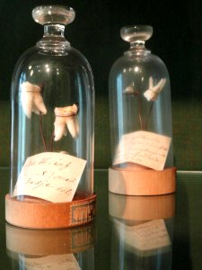 Teeth - Arppeanum - DSC05426